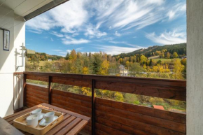 Apartmán Amálka pod Tanvaldským Špičákem, Jiřetín Pod Bukovou